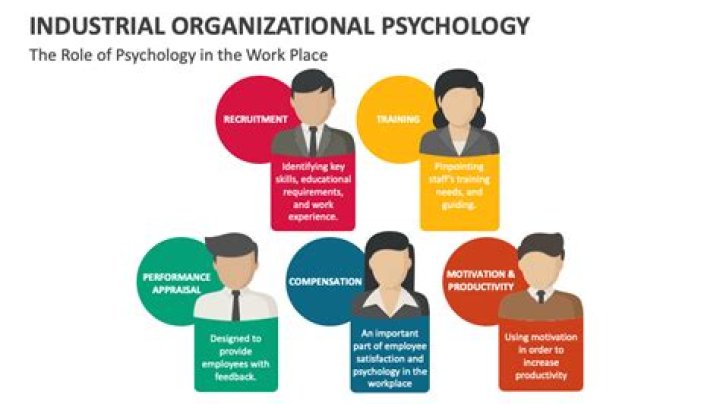 Whats a industrial-organizational psychologist?