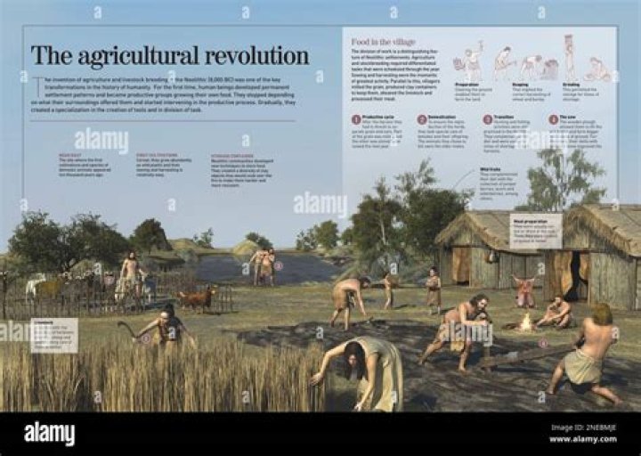 When did subsistence farming start?