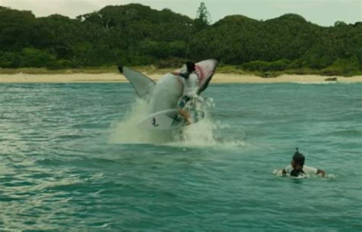 When is the shallows on netflix?