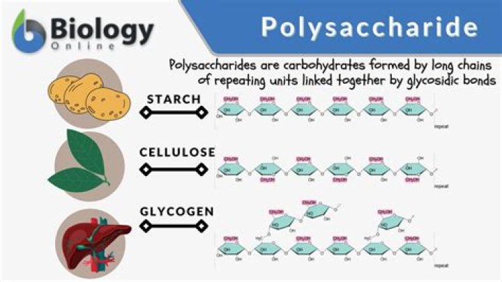 When monosaccharides are linked to form polysaccharides?