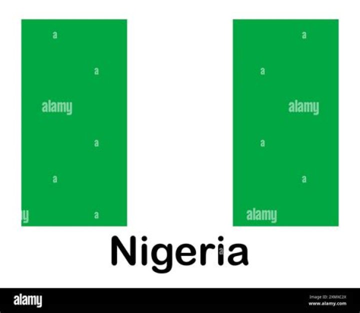 When was the nigerian flag designed?