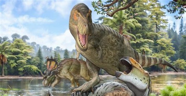 Where did t-rexes live?
