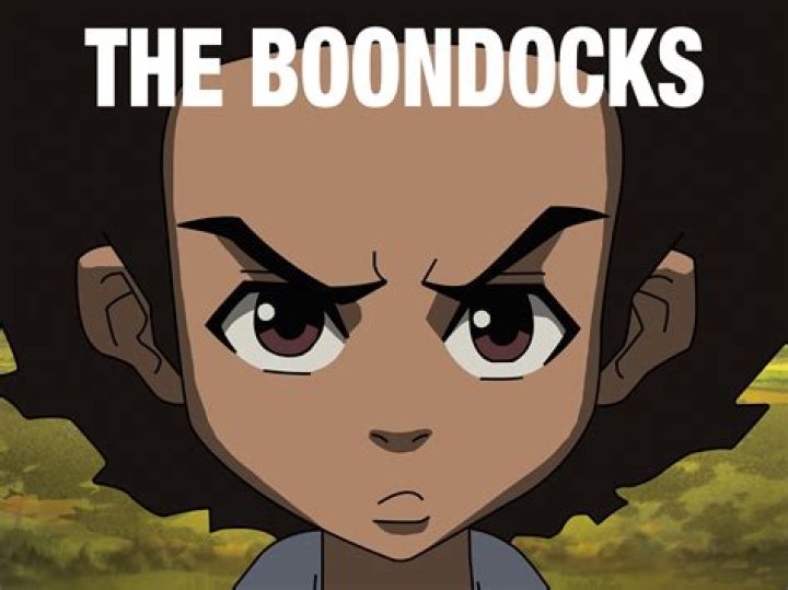 Where does boondocks take place?