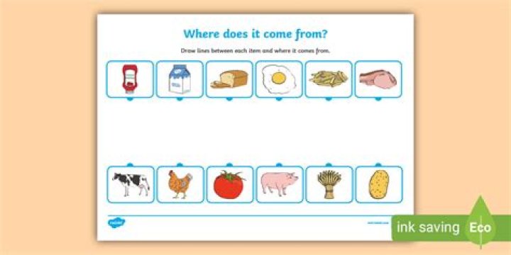 Where does esquisse come from?