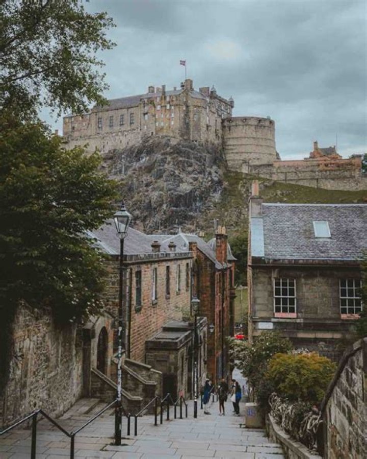 Where does the word vennel come from?