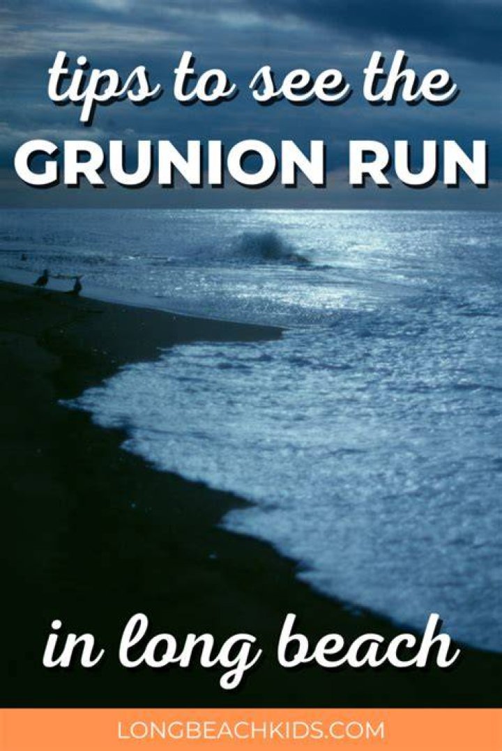 Which beach is best for grunion run?