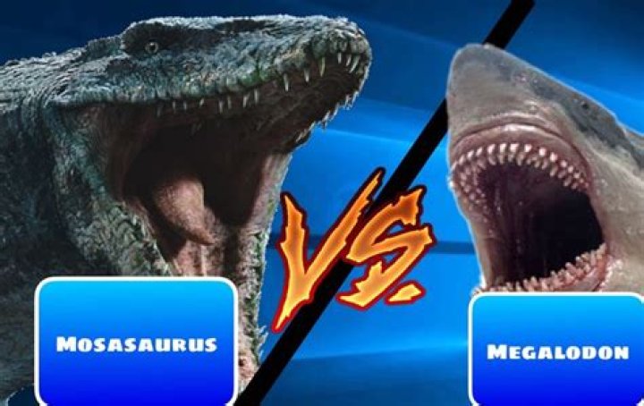 Who would win mosasaurus or megalodon?