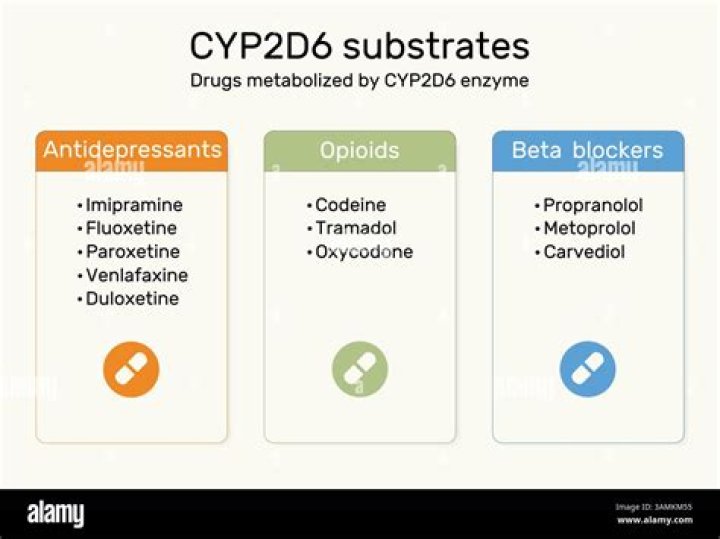 Why are drugs metabolised?