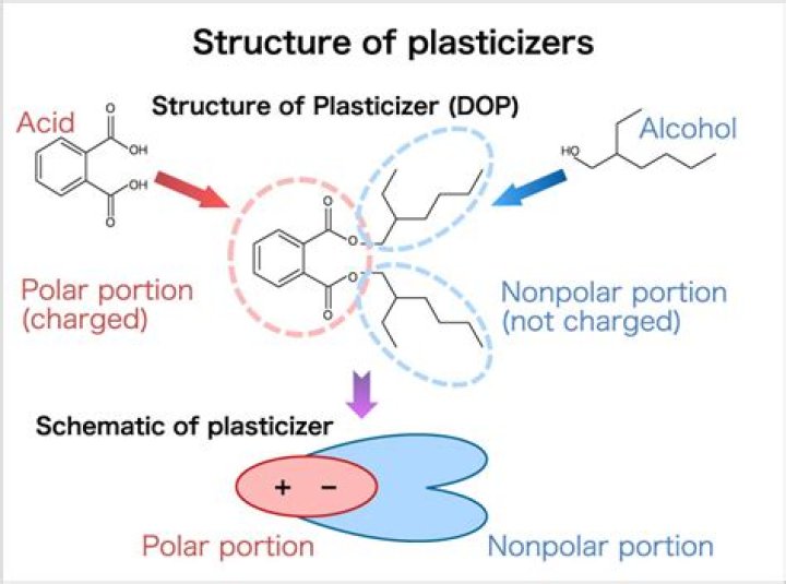 Why are plasticisers added with polymers?