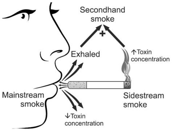 Why is sidestream smoke more dangerous?