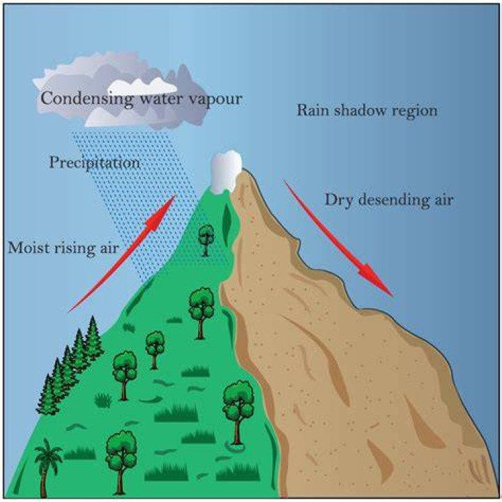 Why is the windward important?