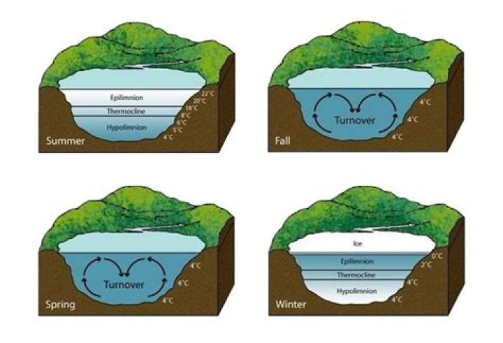 Why lakes freeze from top to bottom?