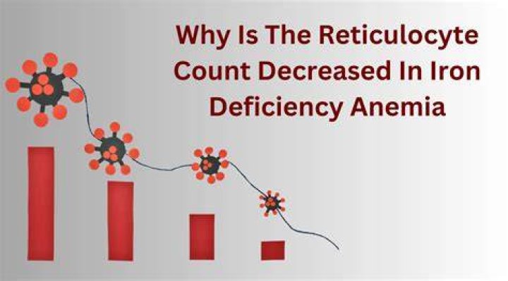 Why low reticulocytes in iron deficiency anemia?