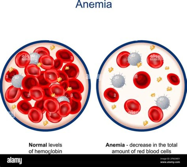 Why red blood cells decrease?