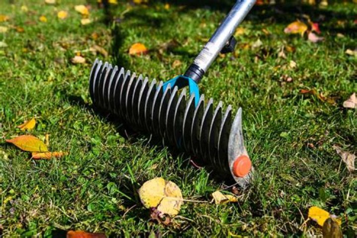 Why use a thatching rake?