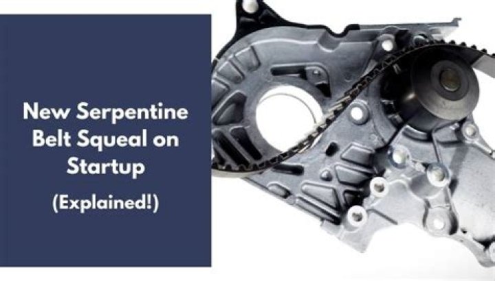 Will a new serpentine belt squeal?