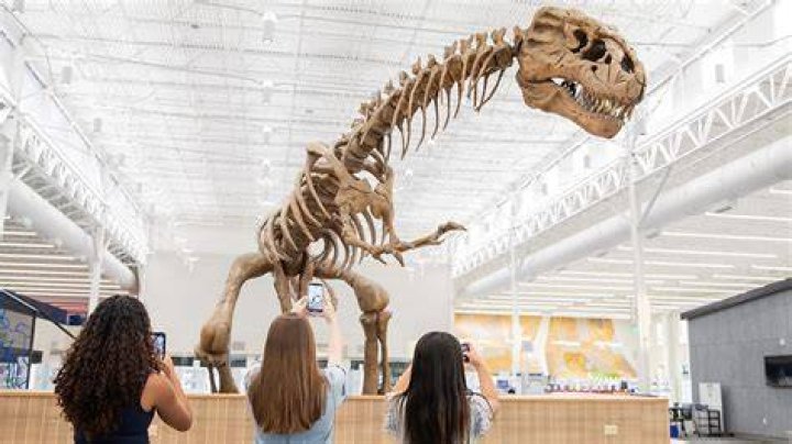 Will scientists be able to recreate dinosaurs?