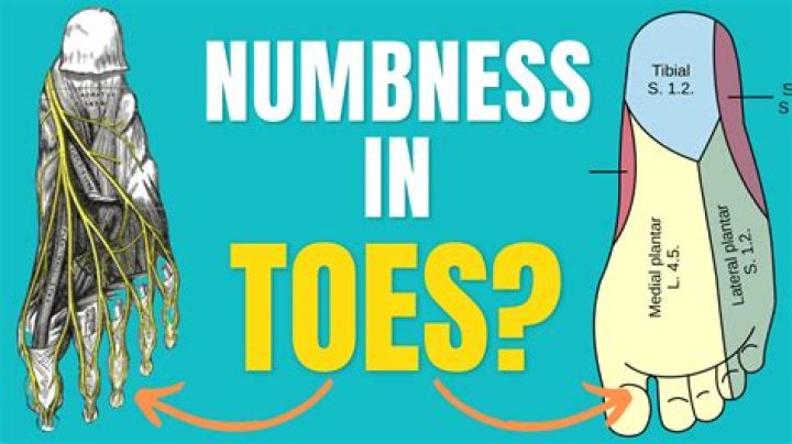 Would a broken toe be numb?
